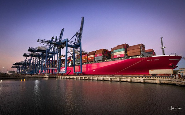 Lộ diện các cảng biển ở Việt Nam lọt top cảng container hoạt động tốt nhất thế giới Lộ diện các cảng biển ở Việt Nam lọt top cảng container hoạt động tốt nhất thế giới